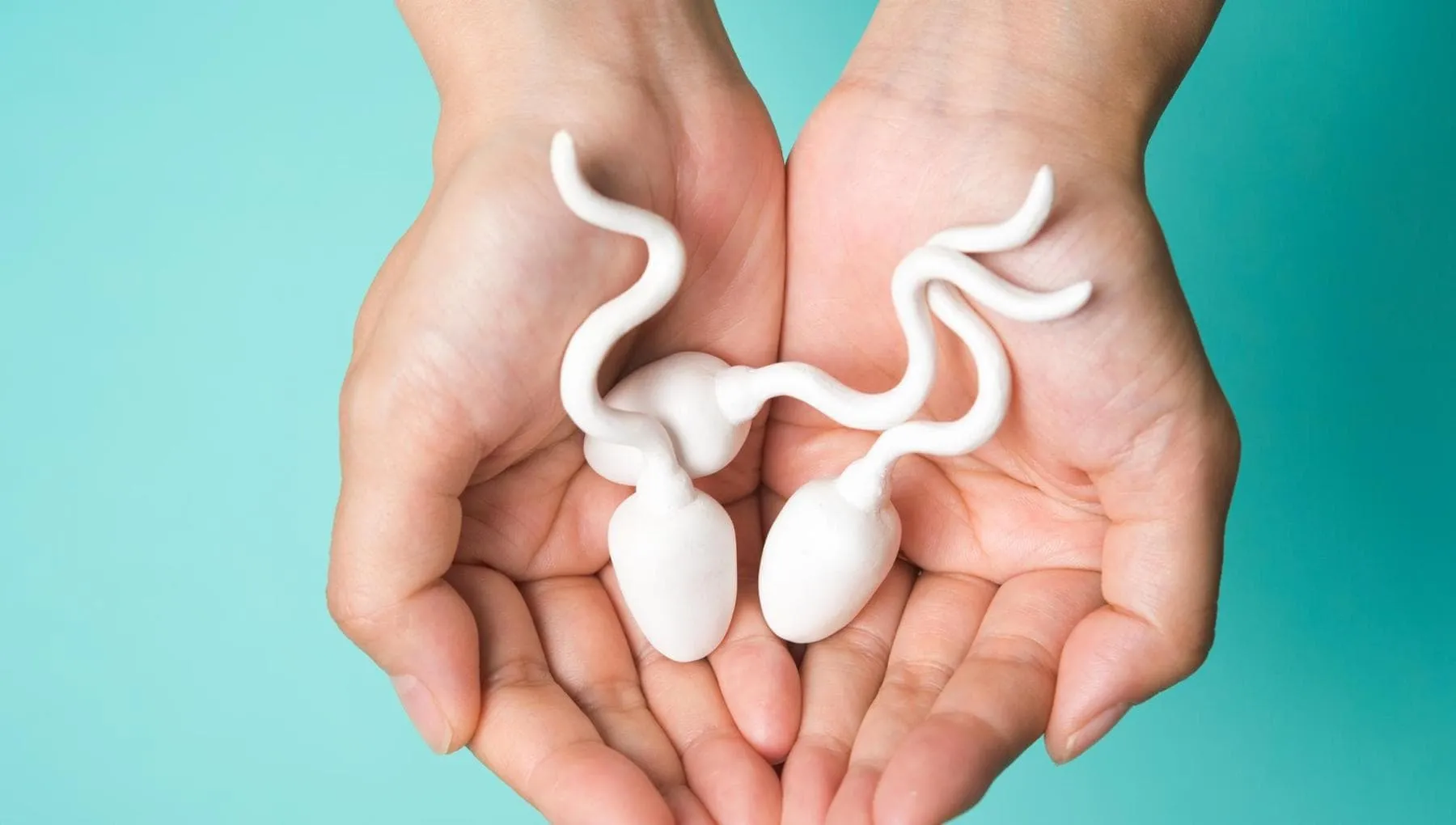 Effetto devastante dell’inquinamento sugli spermatozoi: fertilità cambia a seconda di dove si vive