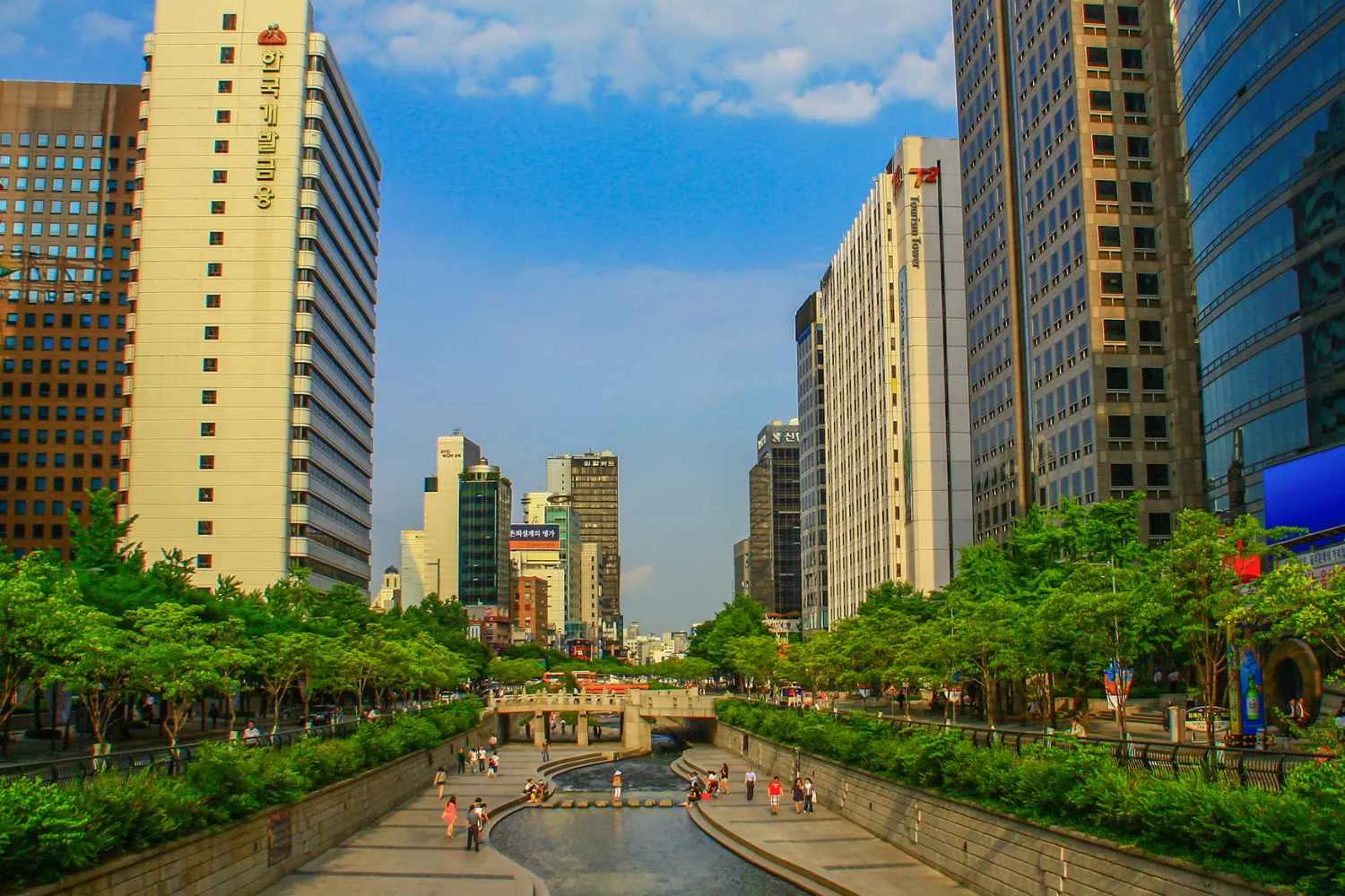 Il condizionatore d'aria della natura: come le foreste urbane stanno mitigando le ondate di calore in Corea (e quali alberi raffrescano di più)