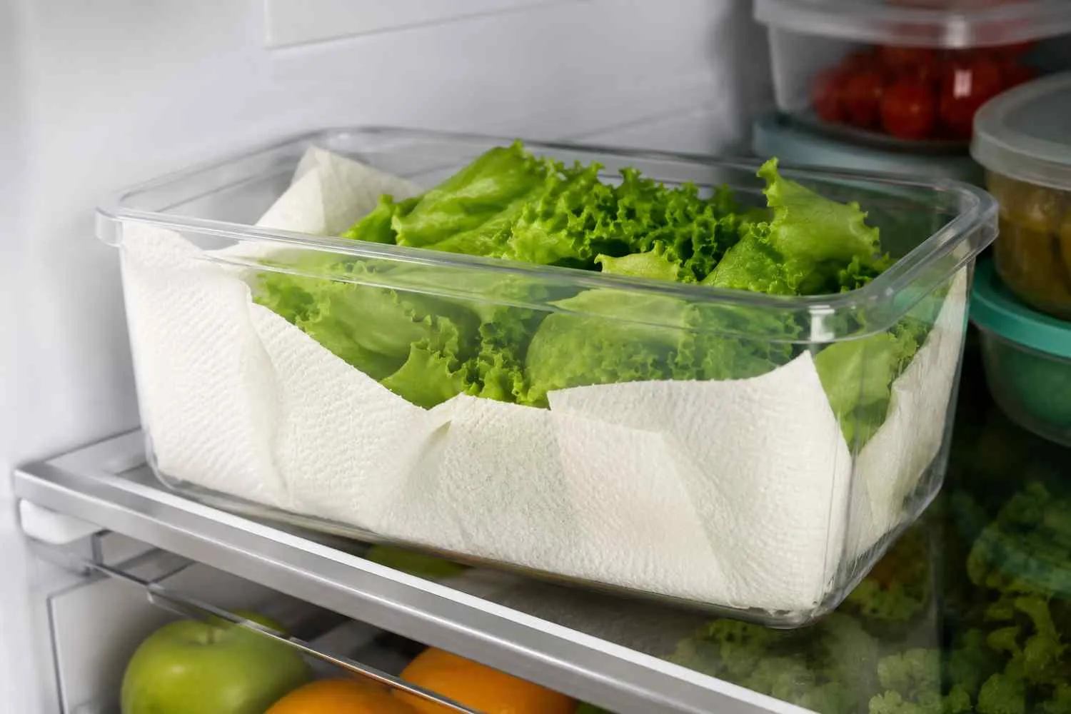 La lattuga ti dura solo pochi giorni in frigorifero? Il semplice trucco con la carta da cucina che può farla restare fresca più a lungo