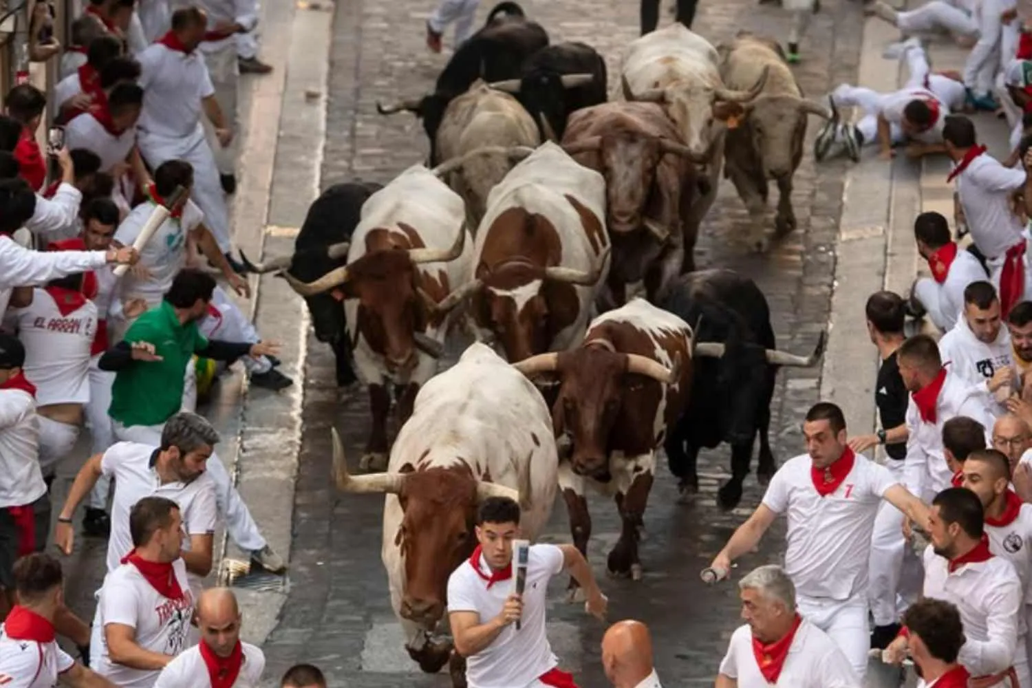 San Firmino, la prima (folle) corsa dei tori di Pamplona si chiude con 5 feriti: basta con questa barbarie!