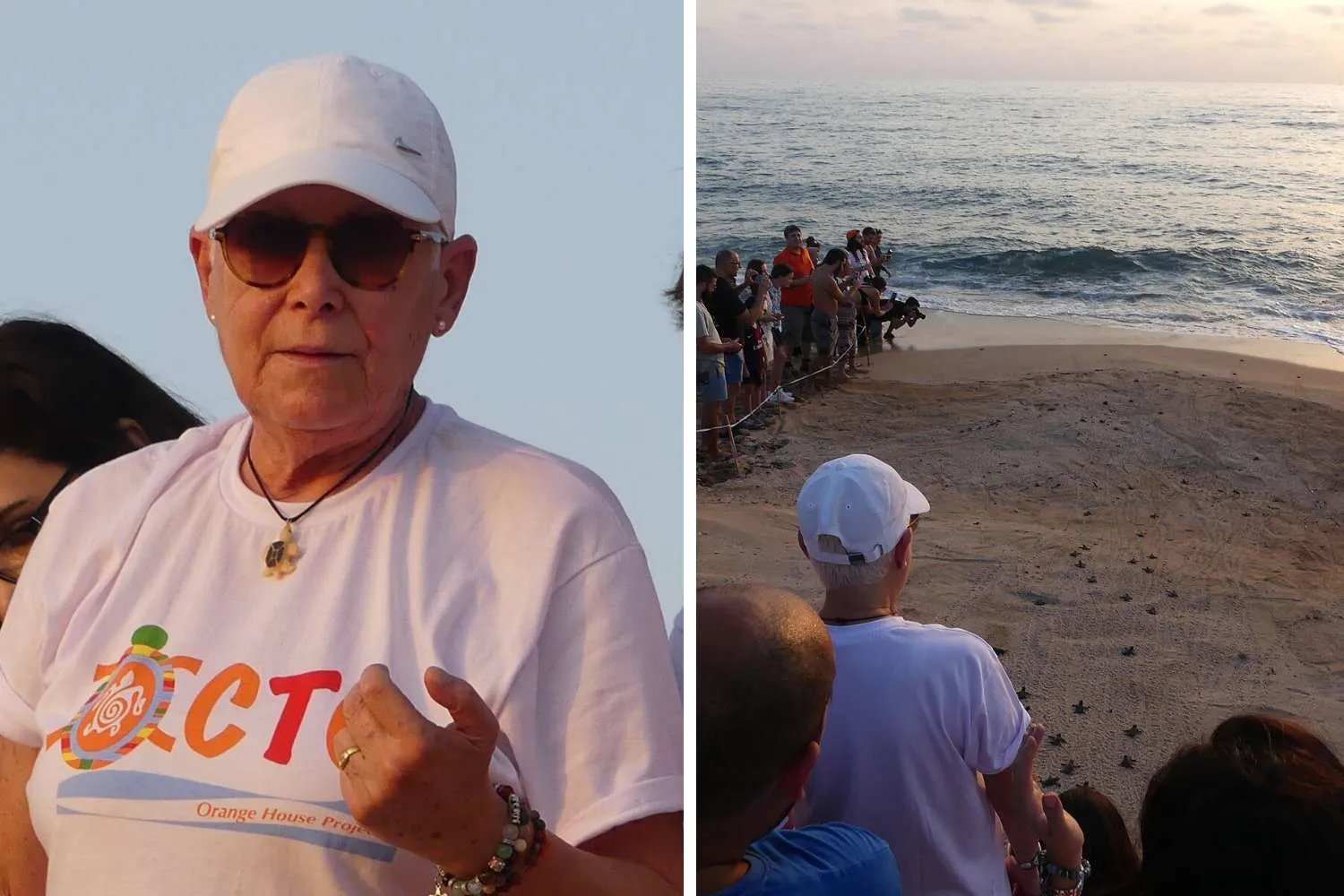 Il mondo dice addio a Mona Khalil, la guardiana delle tartarughe marine: è morta in un raid israeliano in Libano