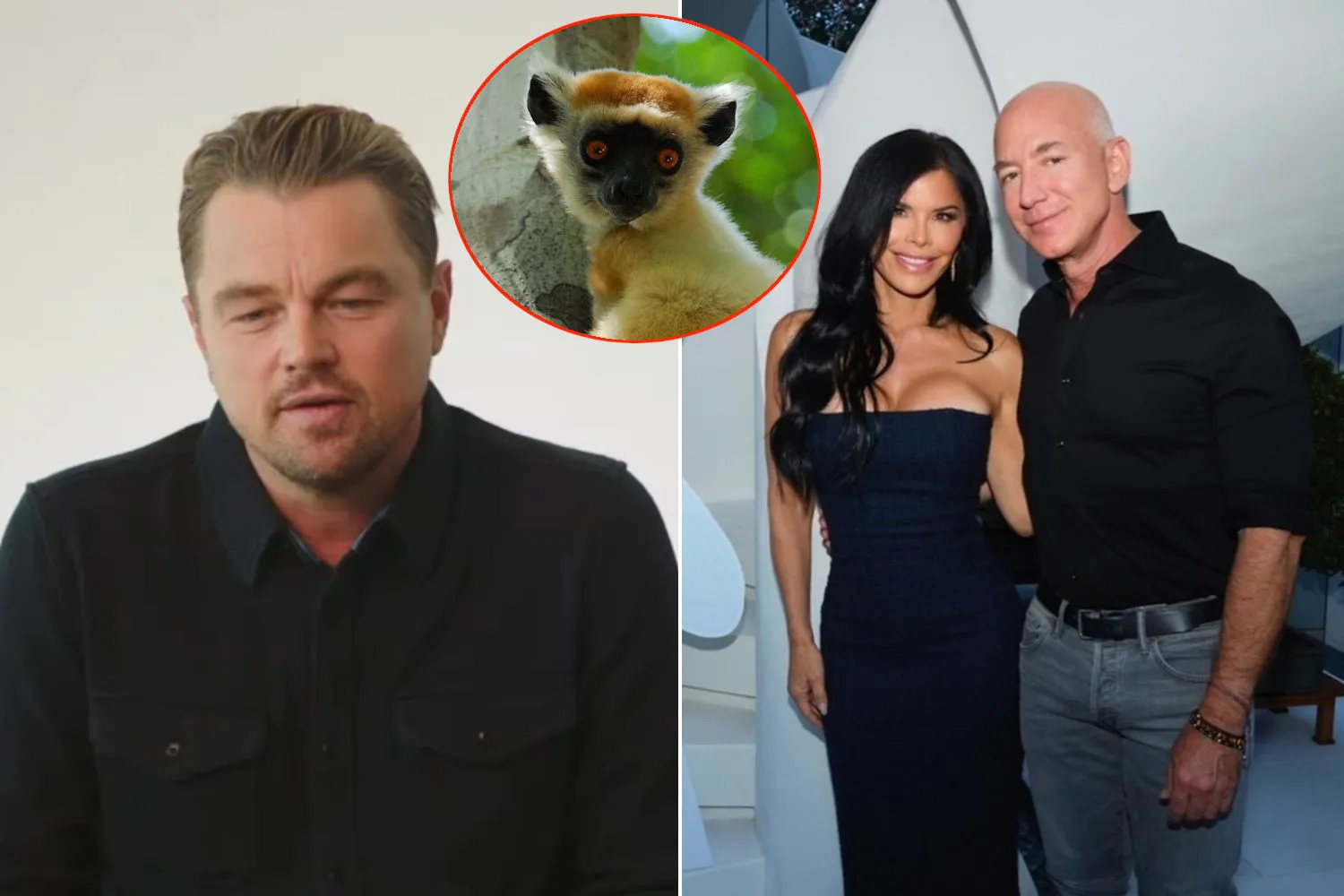 Leonardo DiCaprio e Jeff Bezos insieme per tutelare 100 specie a rischio con un investimento di 200 milioni: nasce il Phoenix Species Project
