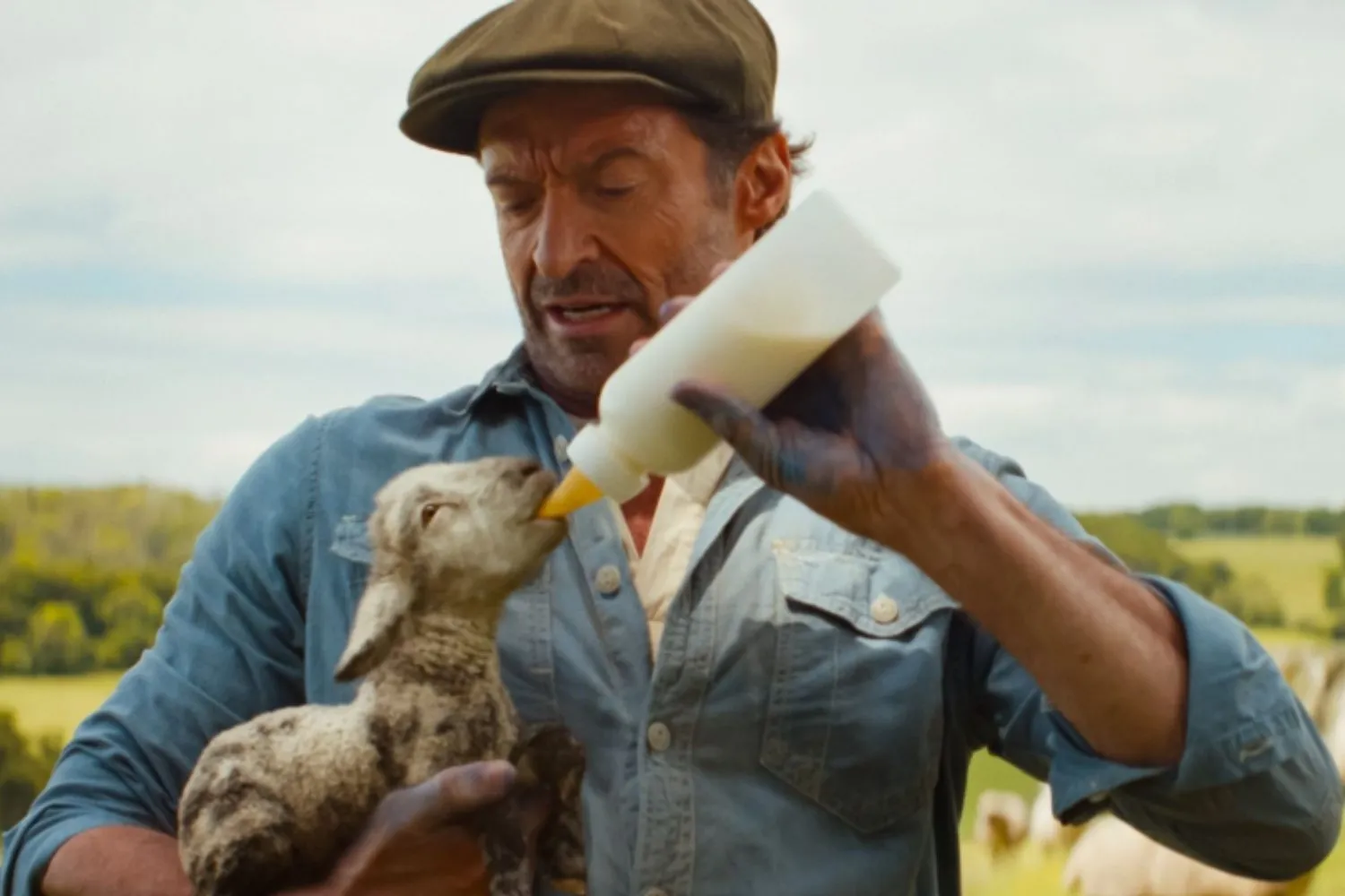 Il film “Pecore sotto copertura” è un piccolo capolavoro sull'intelligenza degli animali (e il cinismo umano): perché dovresti vederlo