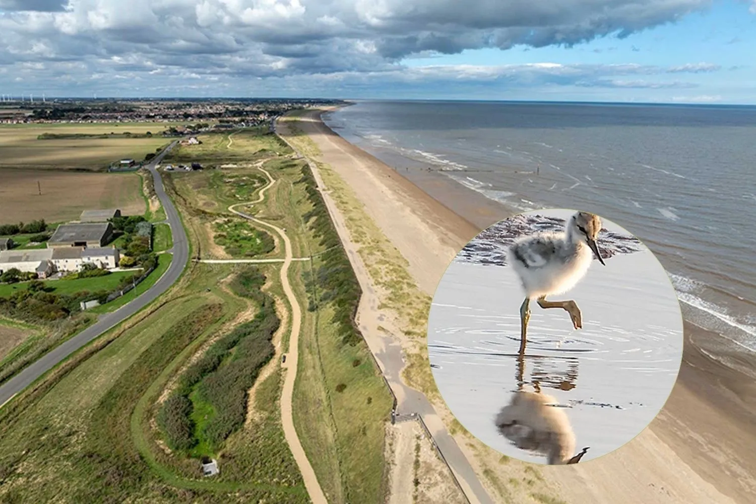 Hanno trasformato un campo da golf in una gigantesca riserva naturale costiera, paradiso per uccelli e biodiversità