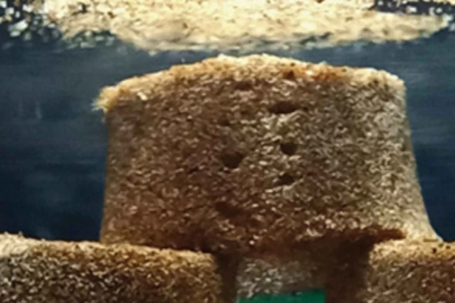 Come trattenere l'acqua nel deserto? Scienziati creano una "sabbia viva" che ci riesce 28 volte di più grazie a batteri e funghi