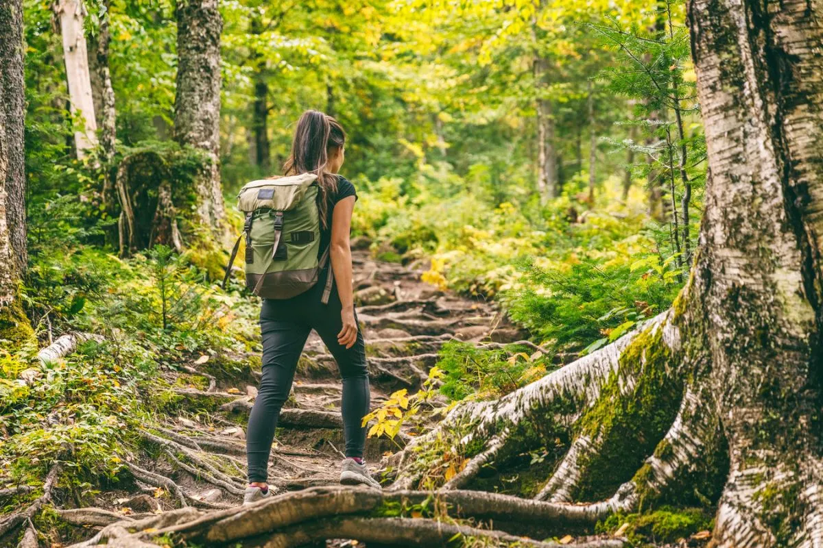 Dove fare trekking a ottobre: i sentieri più belli d’Italia tra ponti tibetani, miniere e foreste UNESCO