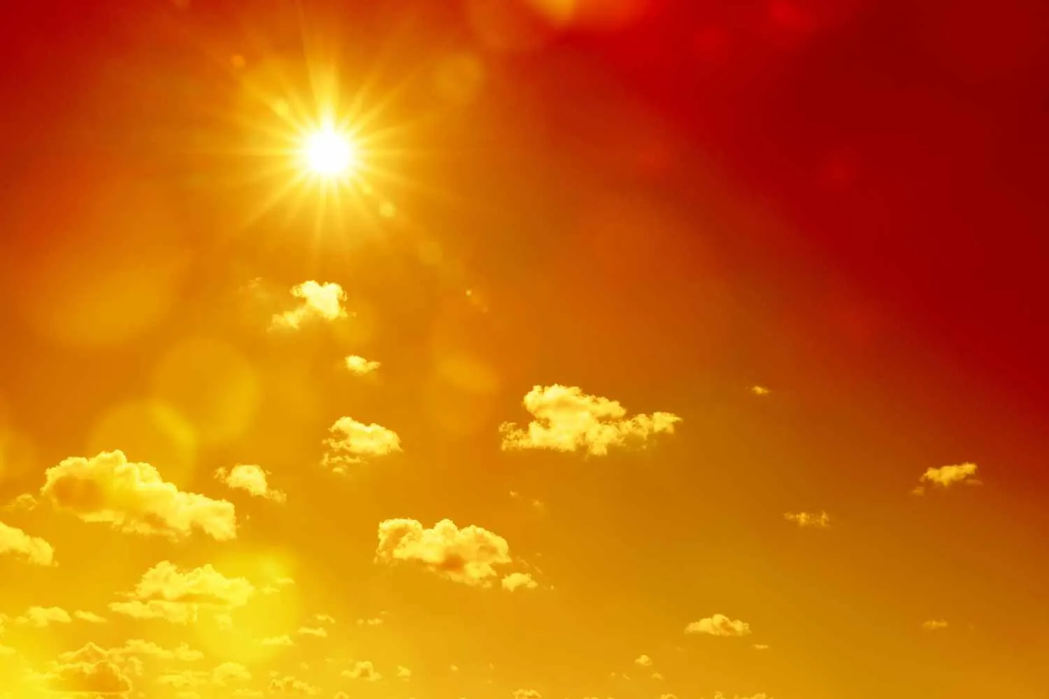 Caldo record in Italia, 15 città da bollino rosso oggi e 16 domani: l'elenco completo
