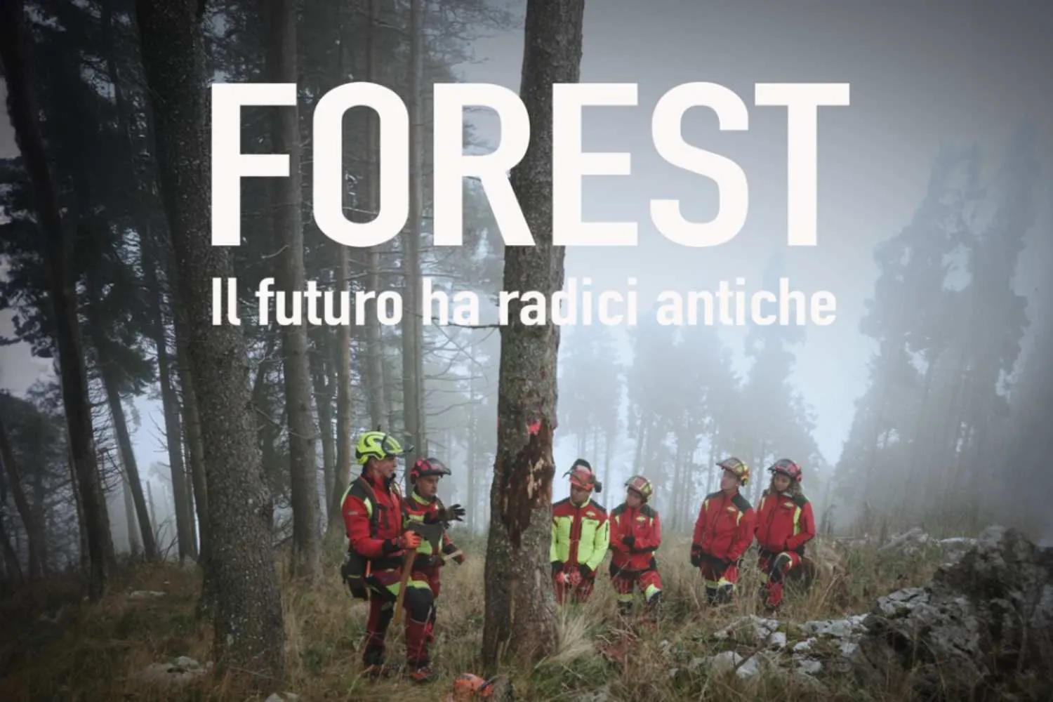 “Forest – Il futuro ha radici antiche”, il potente documentario che svela i segreti del lavoro forestale (e la rinascita dei boschi dopo Vaia)