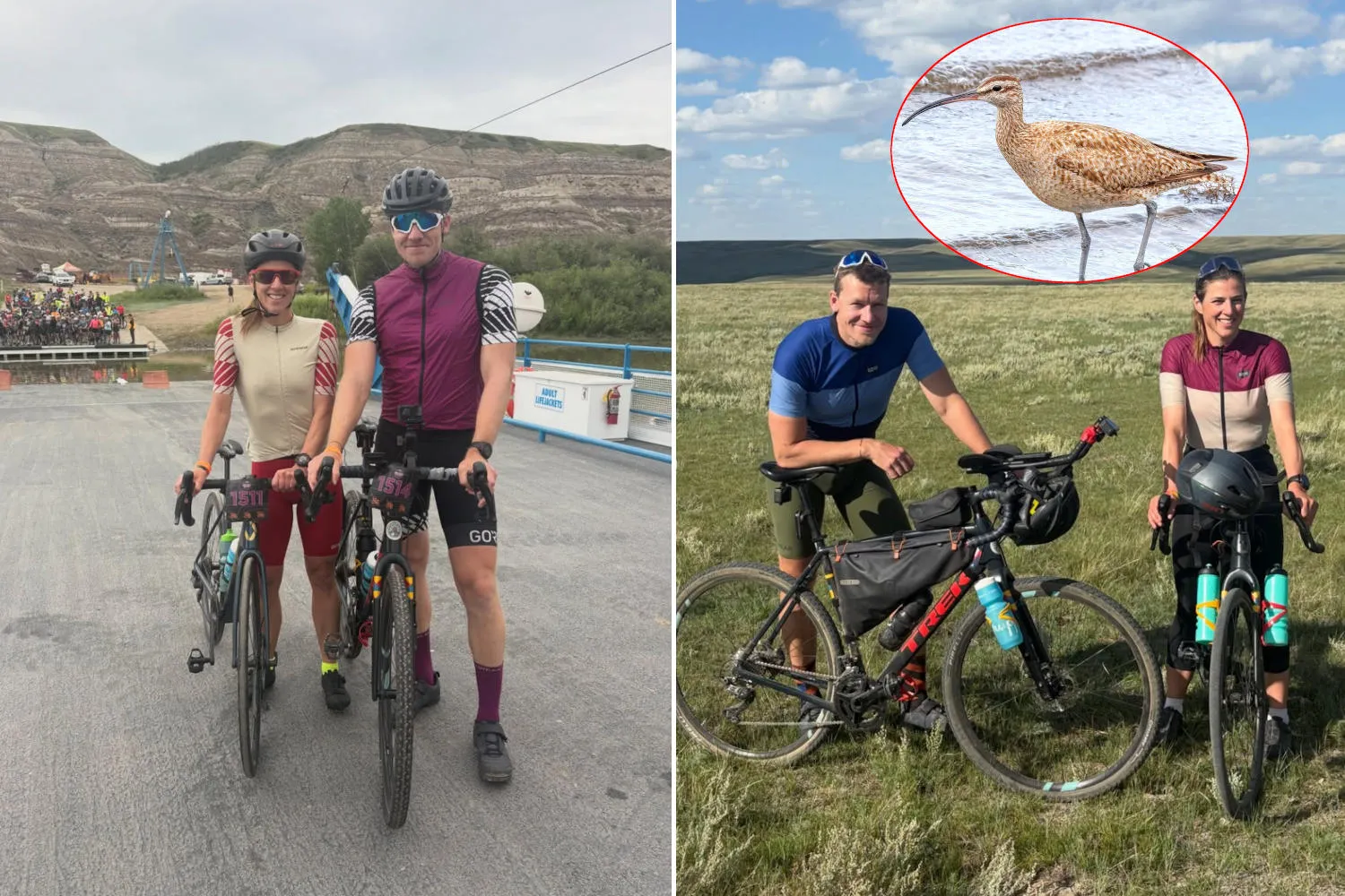 Dall'Alaska alla Terra del Fuoco: 30mila km in bici per seguire la rotta migratoria del chiurlo piccolo americano (a rischio estinzione)
