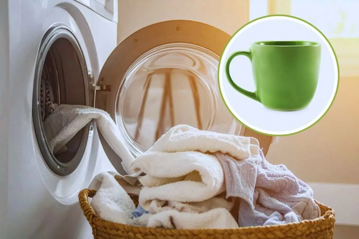 Basta una tazzina per mantenere i vestiti freschi e profumati per settimane: ho dimezzato l’uso della lavatrice – Ecoblog