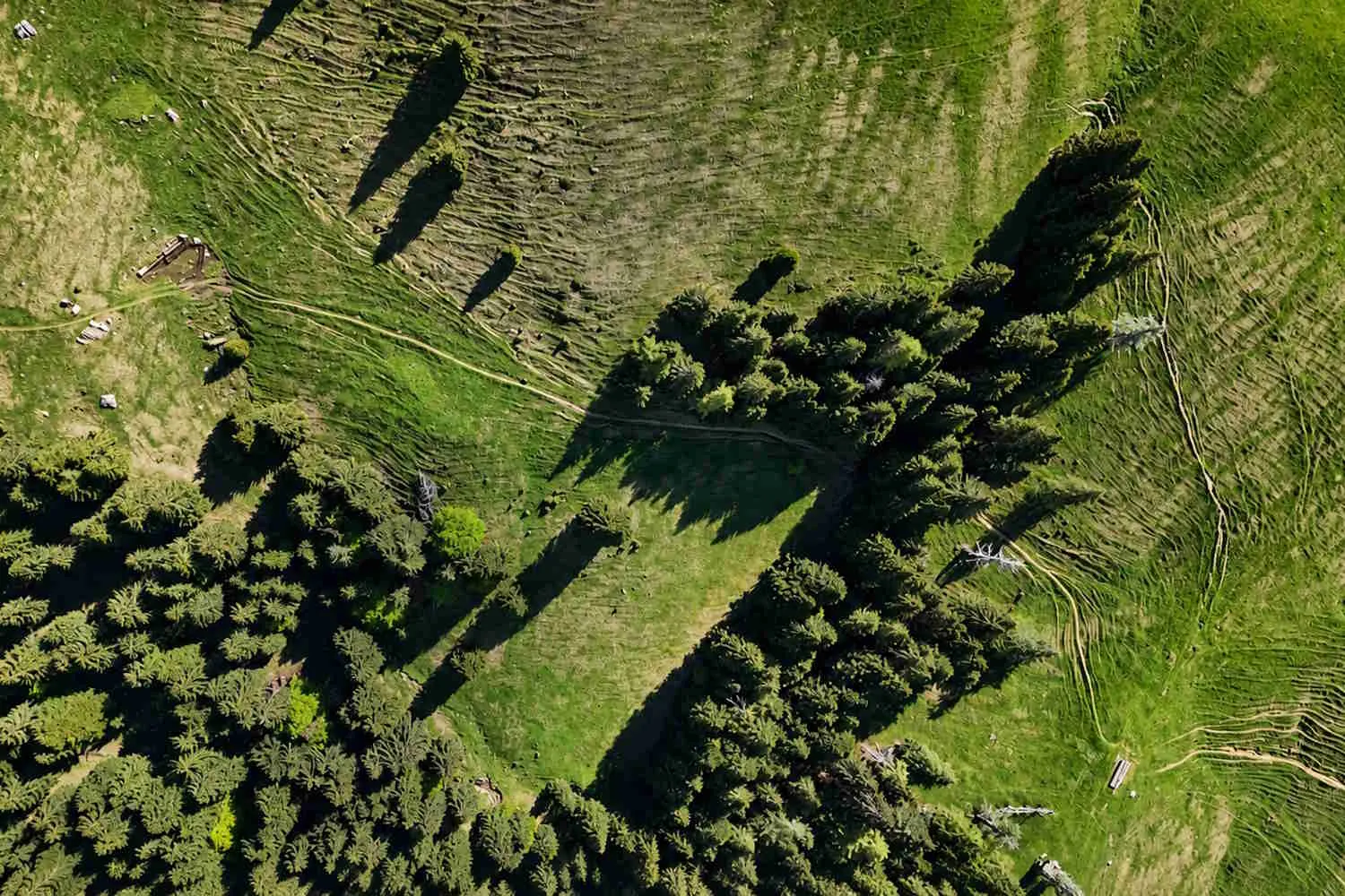 La montagna che non vuole scomparire: viaggio tra le valli bergamasche dove si salvano boschi, castagneti e comunità