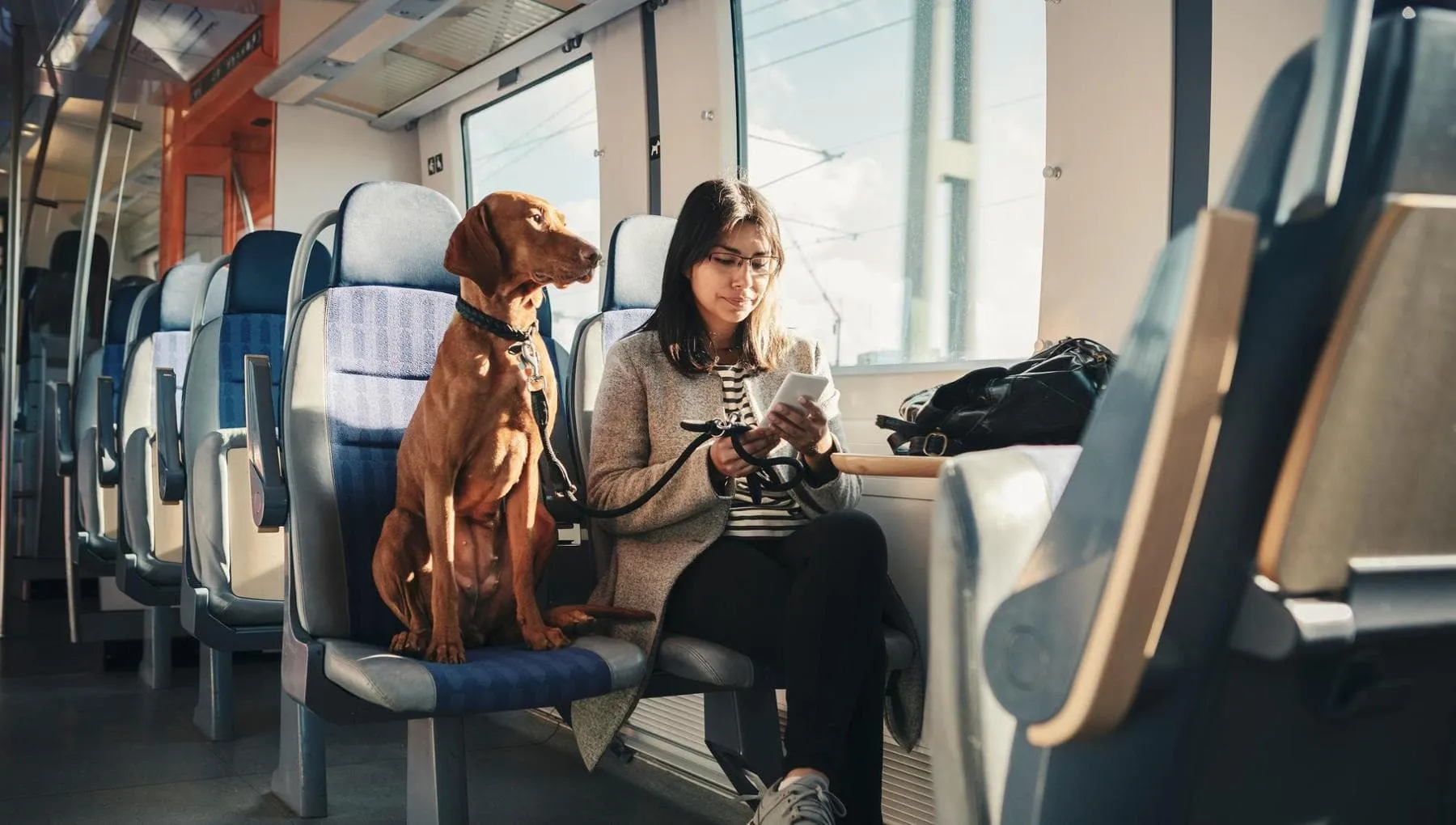 In viaggio con il 4 zampe: aereo inaccessibile per i costi, nave e treno ok