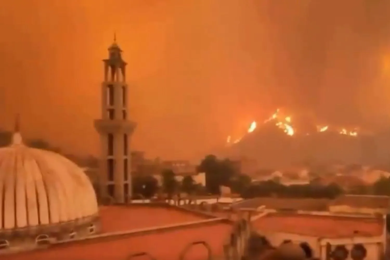 Nel silenzio generale, l'Algeria è devastata da quasi 200 incendi: circa 70 morti e decine di feriti gravi