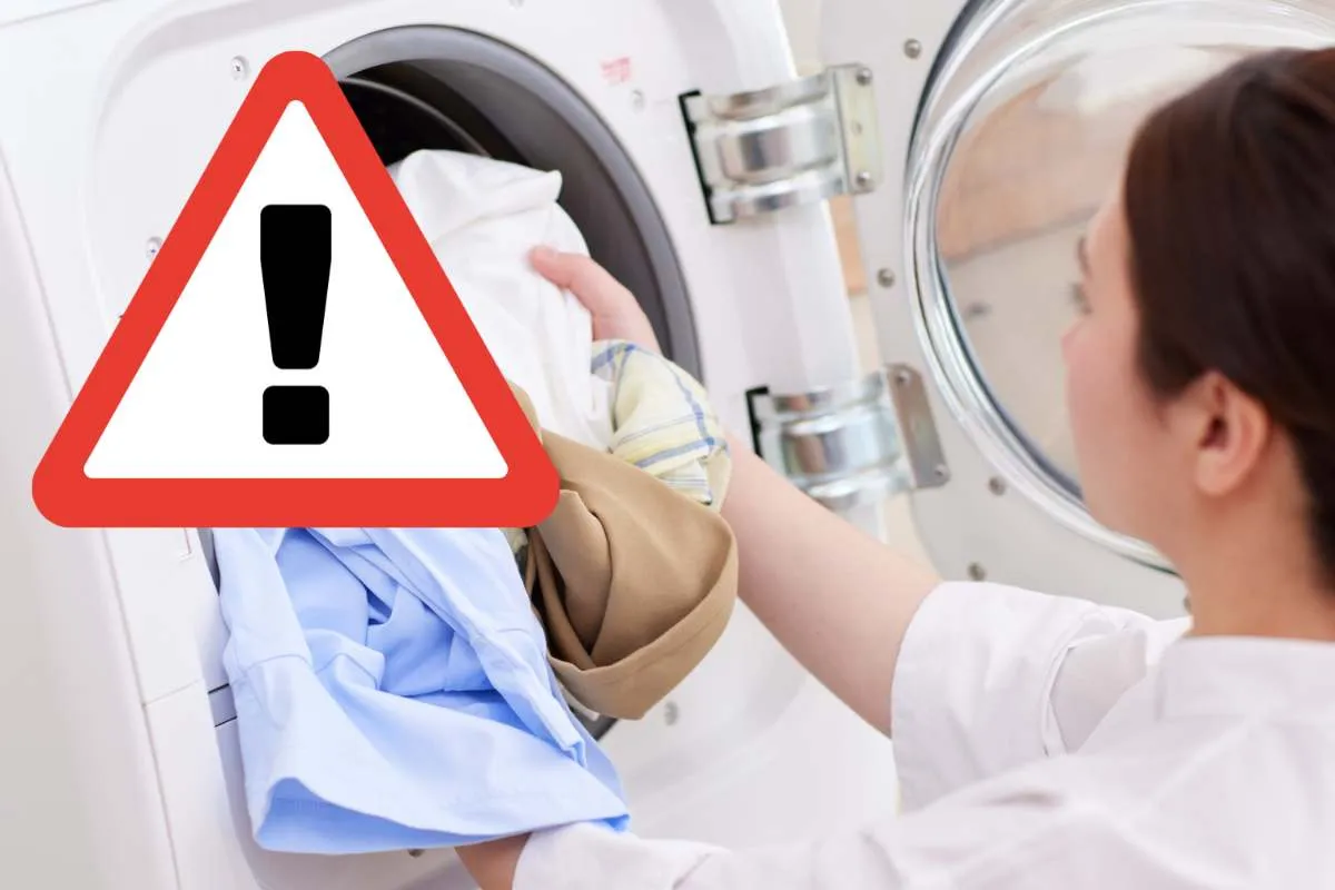 Sembra semplice lavarlo, ma questo oggetto comune nasconde un rischio che in pochi considerano (e lo scoprono troppo tardi) – Ecoblog