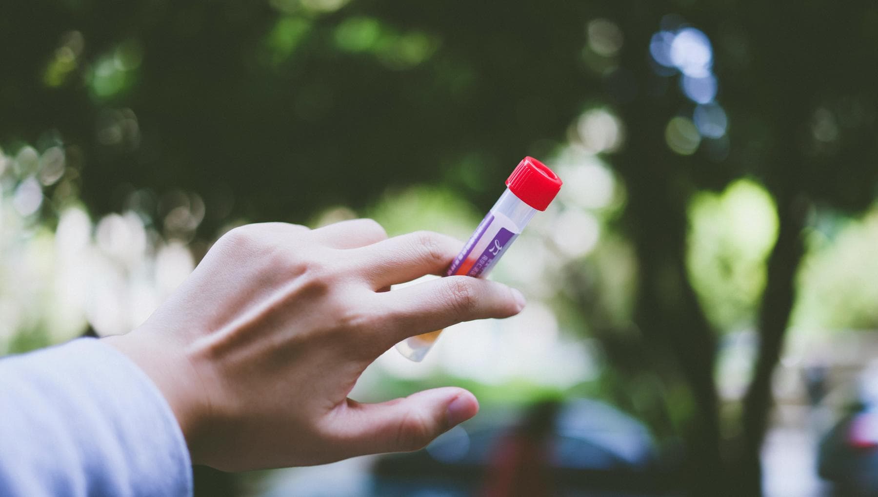 Per scoprire il rischio demenza analisi del sangue a casa e test cerebrali online