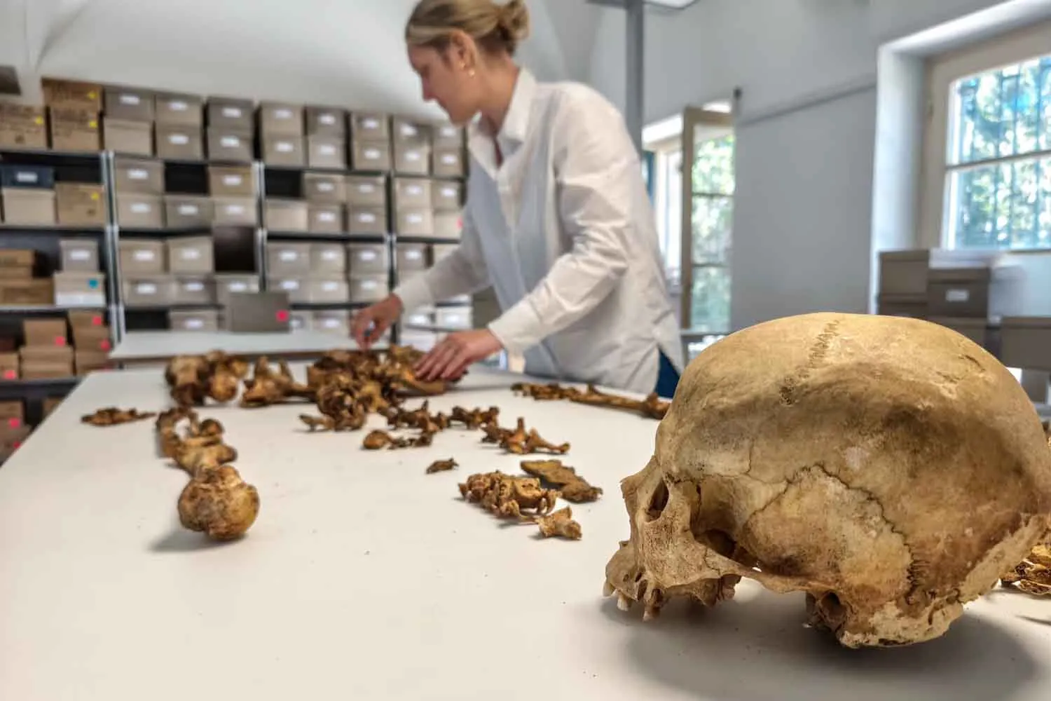 Dimentica la conquista barbarica, antico DNA svela cosa accadde realmente alla gente comune dopo la caduta dell'Impero romano d'Occidente
