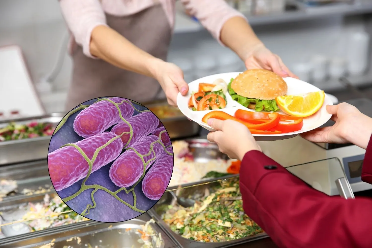 Salmonella nelle mense scolastiche: 89 persone infette e 14 bambini ricoverati nel Bresciano