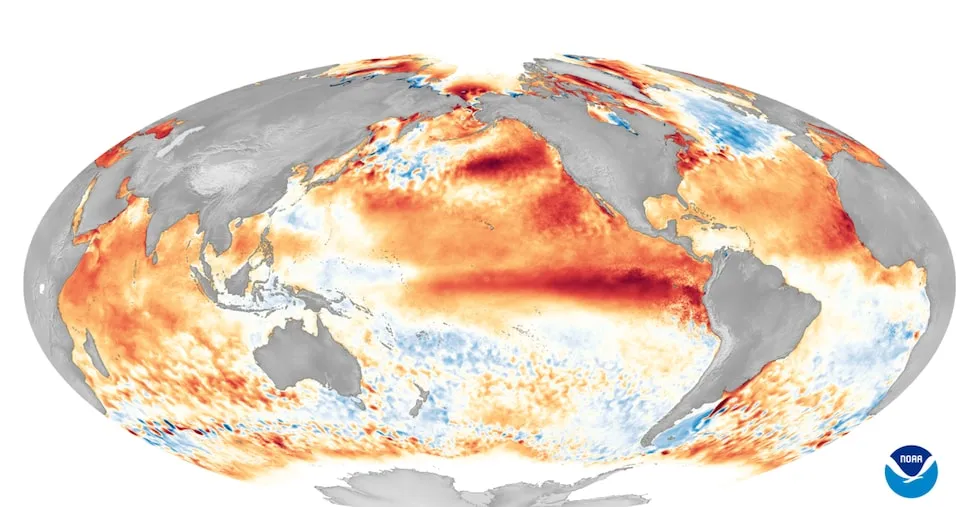 Il super El Niño arriva su un pianeta già caldo. Ecco le conseguenze