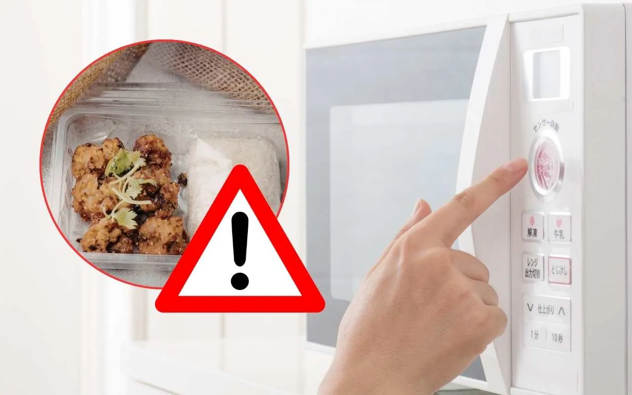 Riscaldi i cibi pronti in forno o in microonde? Ecco i rischi invisibili nascosti nei contenitori di plastica – Ecoblog
