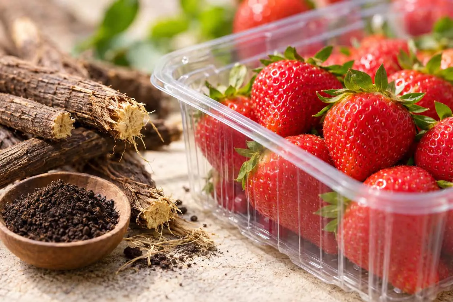 Dagli scarti della liquirizia un packaging tutto italiano che può far durare più a lungo le fragole