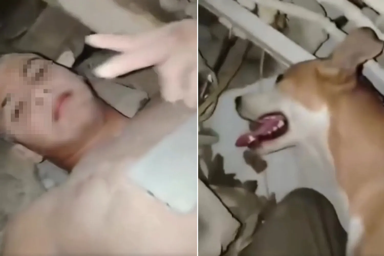 L'incredibile salvataggio di un bimbo dopo 14 giorni sotto le macerie in Venezuela: "mi ha tenuto in vita il mio cane leccandomi"
