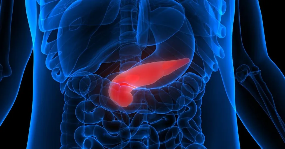 Tumore al pancreas: primo sì dell'Europa al farmaco che raddoppia la sopravvivenza