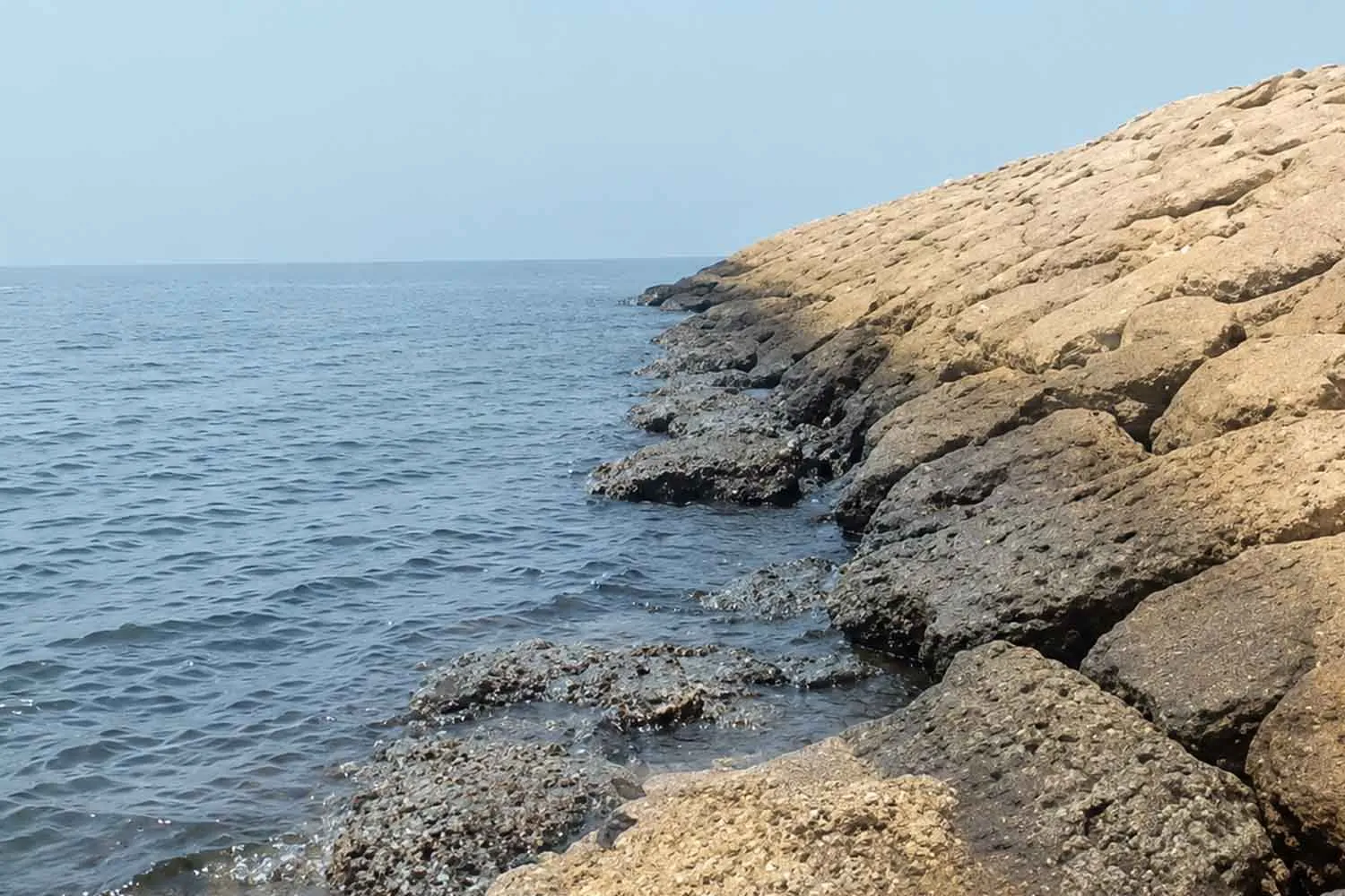 Il petrolio fuoriuscito dalla “flotta ombra” russa sta provocando un disastro ambientale: la marea nera si allarga fra Iran e Oman