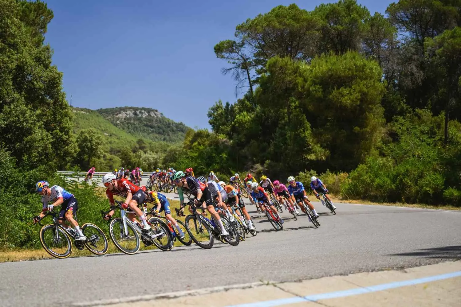 Il caldo record colpisce anche il Tour de France: a rischio la più grande corsa ciclistica (che oggi sarà senza pubblico per gli incendi)