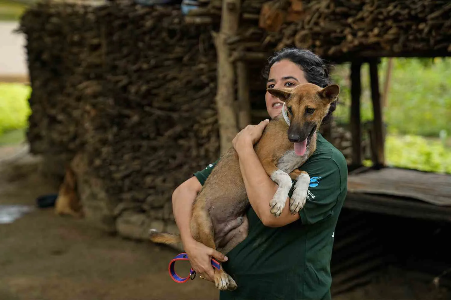 Queste imprenditrici indiane hanno detto basta al commercio di carne di cane e ora coltivano funghi e producono sottaceti