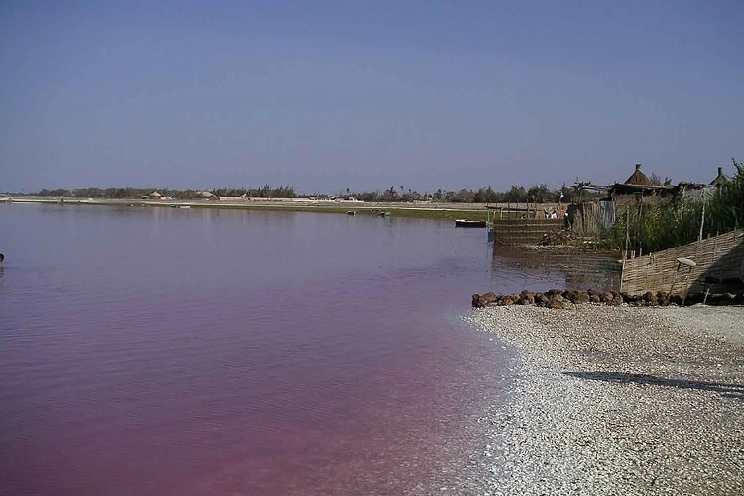 Lac Retba: così il Lago Rosa del Senegal ha ritrovato il suo colore (e il sale) grazie al lavoro di 100 volontari