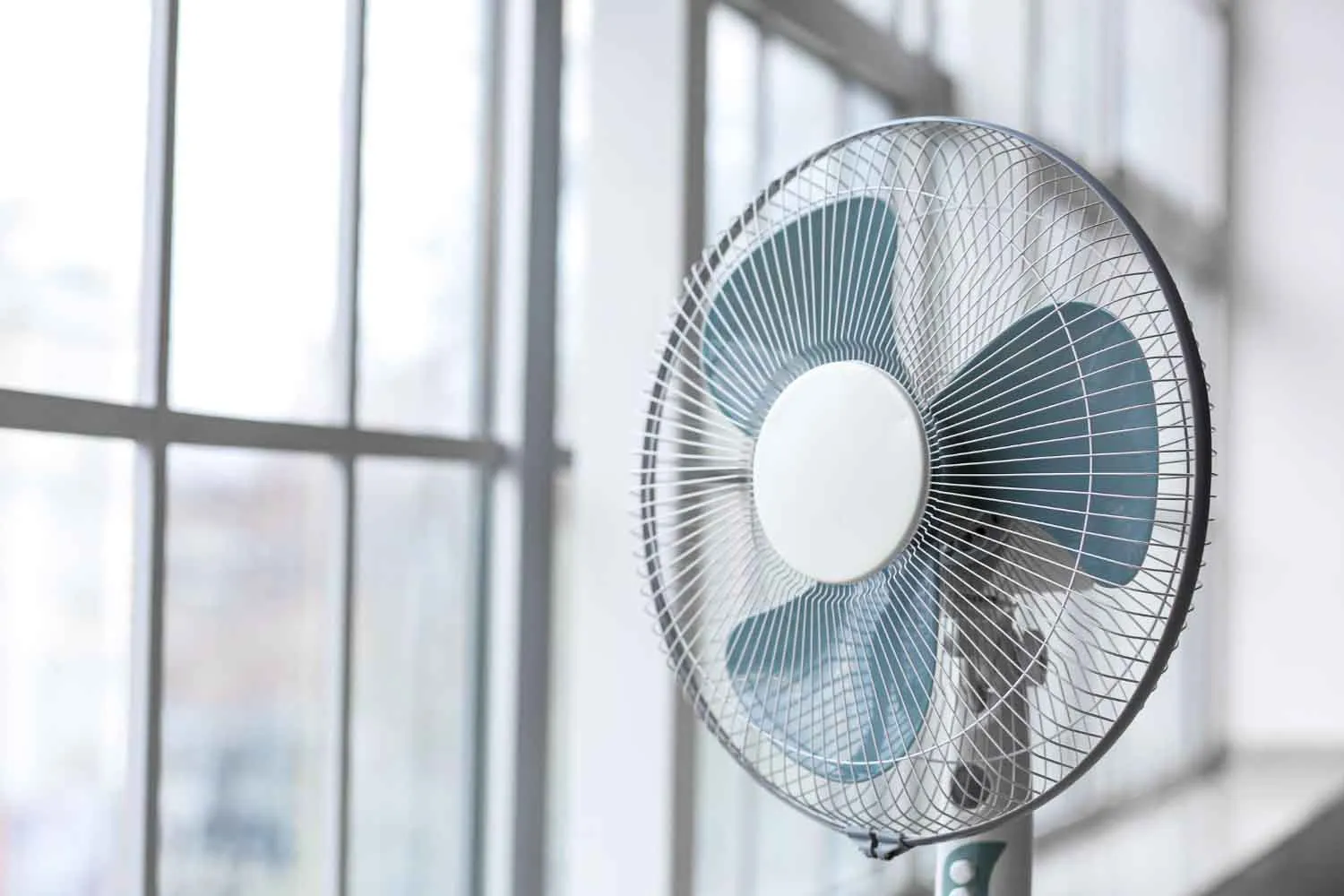 Dove posizionare il ventilatore? Ecco il metodo scientifico per rinfrescare la casa più efficacemente