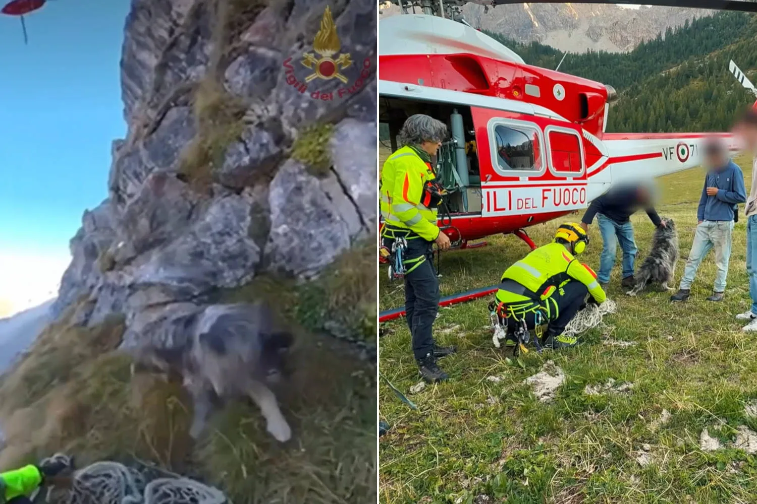 YouTuber individua col drone un cane bloccato a 2.600 metri su una roccia impervia: l’emozionante salvataggio dei Vigili del Fuoco