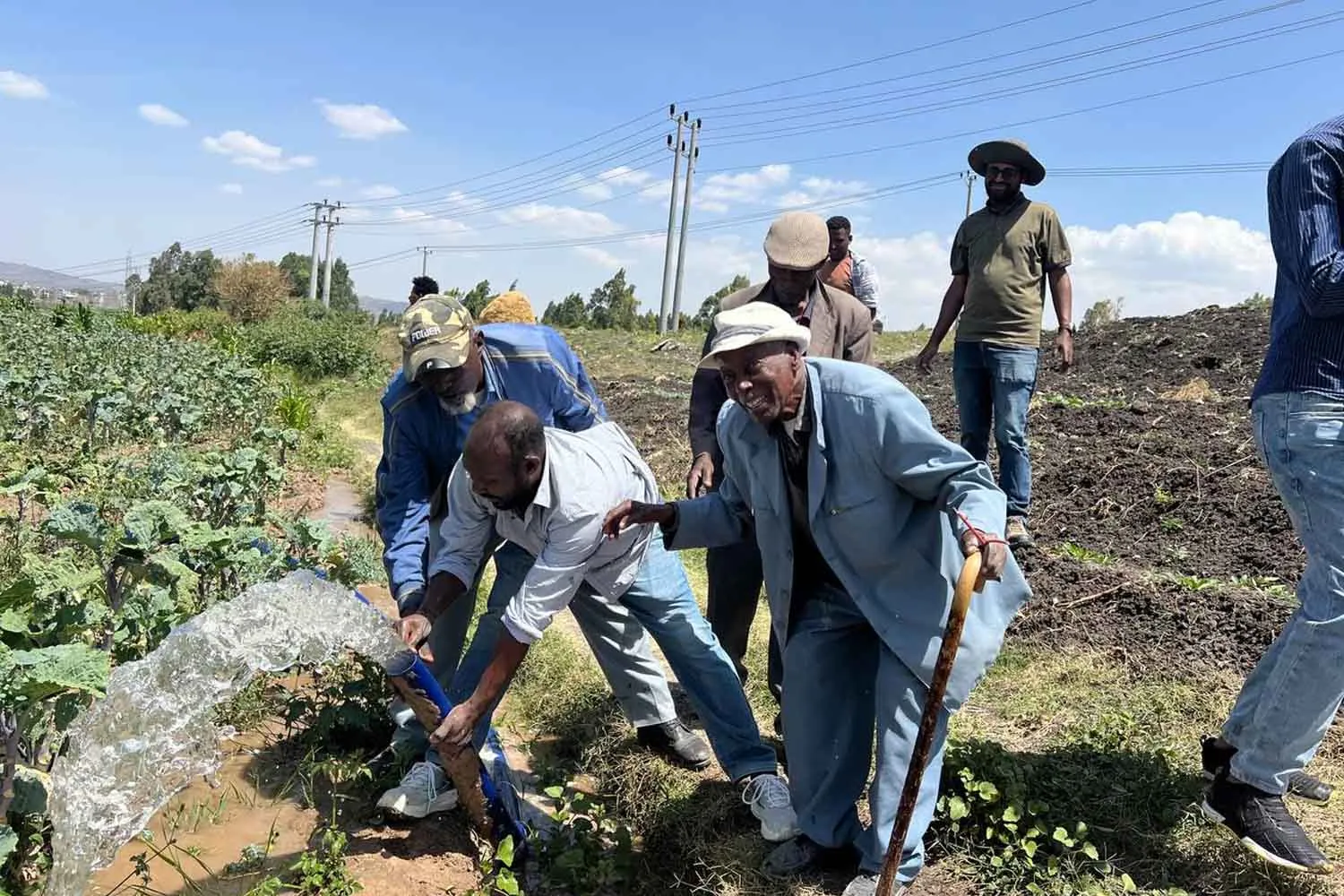 In Etiopia una cooperativa bruciava 2.305 litri di diesel in tre mesi: ora irriga i campi grazie all'energia solare