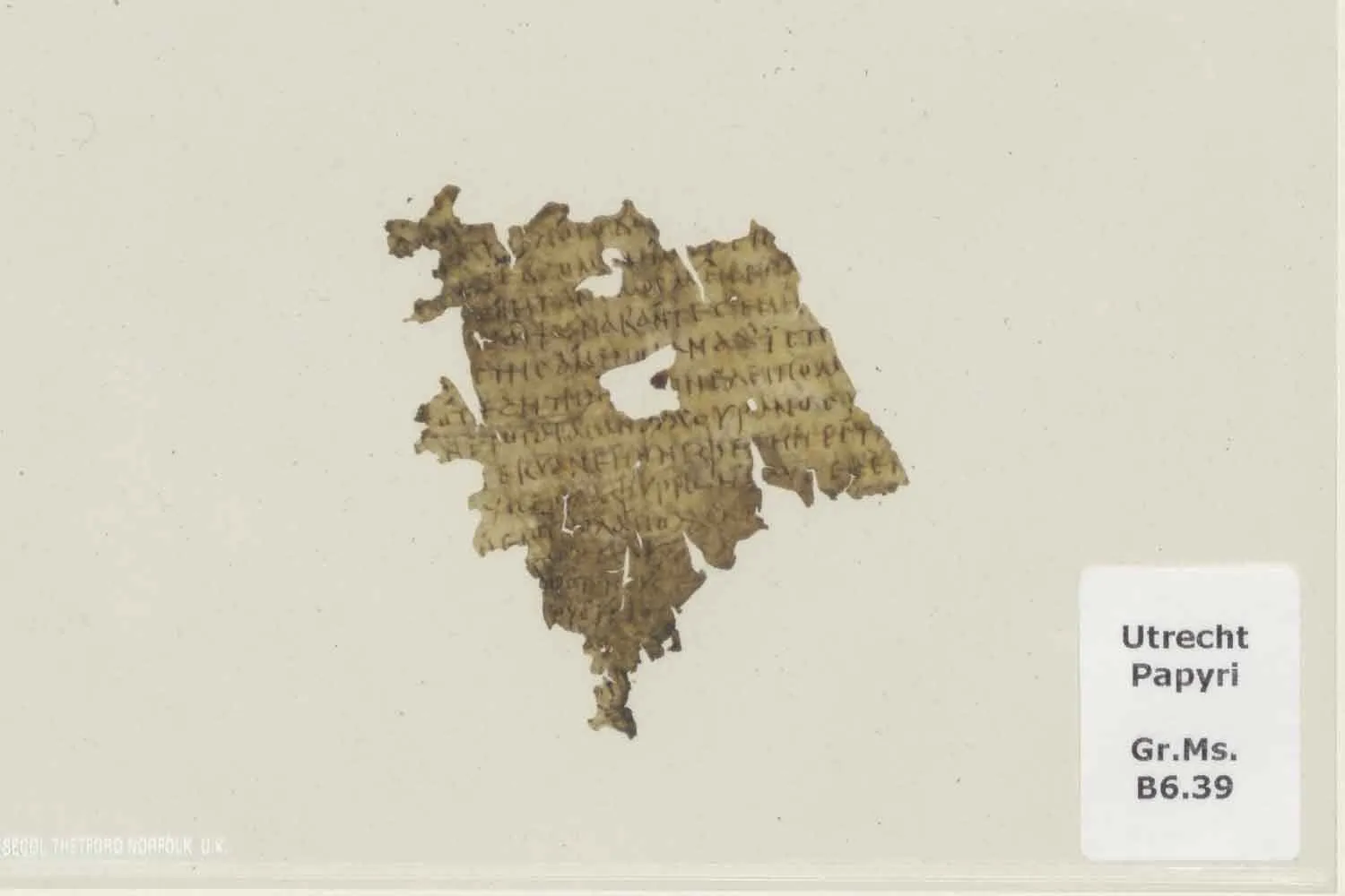 Trovato un frammento dell’Odissea di 1.700 anni fa in una biblioteca olandese: contiene il passaggio della maledizione di Zeus