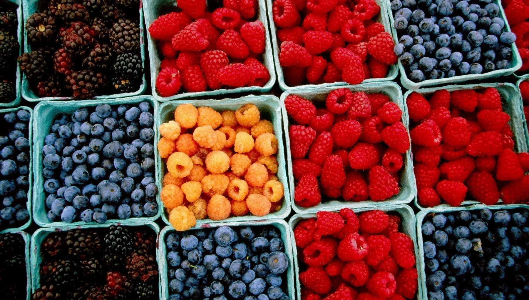 More, mirtilli, ciliegie, prugne e tè verde: più flavonoidi aiutano il cuore a star bene