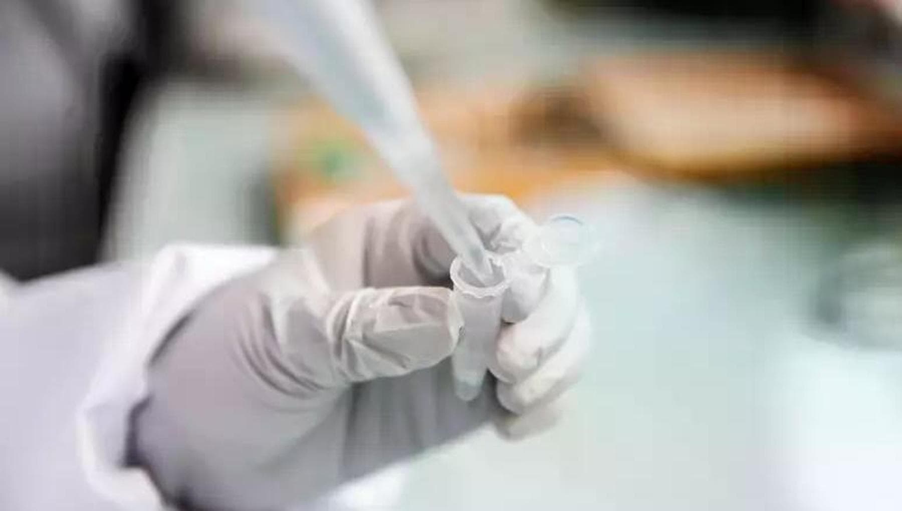 Tumori, negli Usa una donna in remissione senza terapie