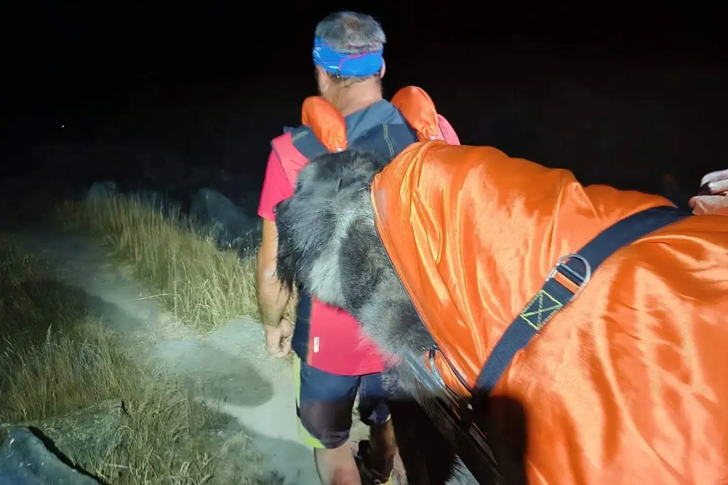 Il cane non riesce più a proseguire l’escursione perché troppo stanco: il salvataggio del Soccorso Alpino a 2000 metri che fa discutere (e riflettere)