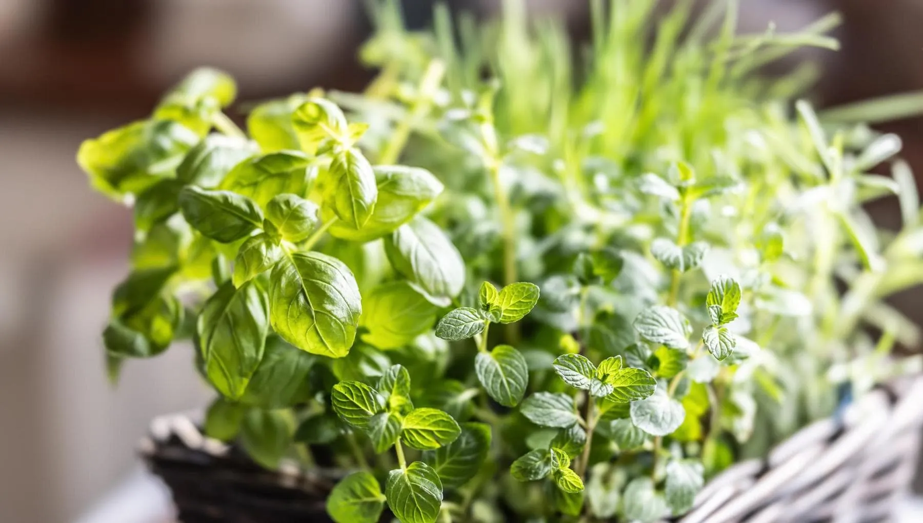 Disturbi del gusto per chi ha un tumore: cinque ricette insolite contro le alterazioni dei sapori