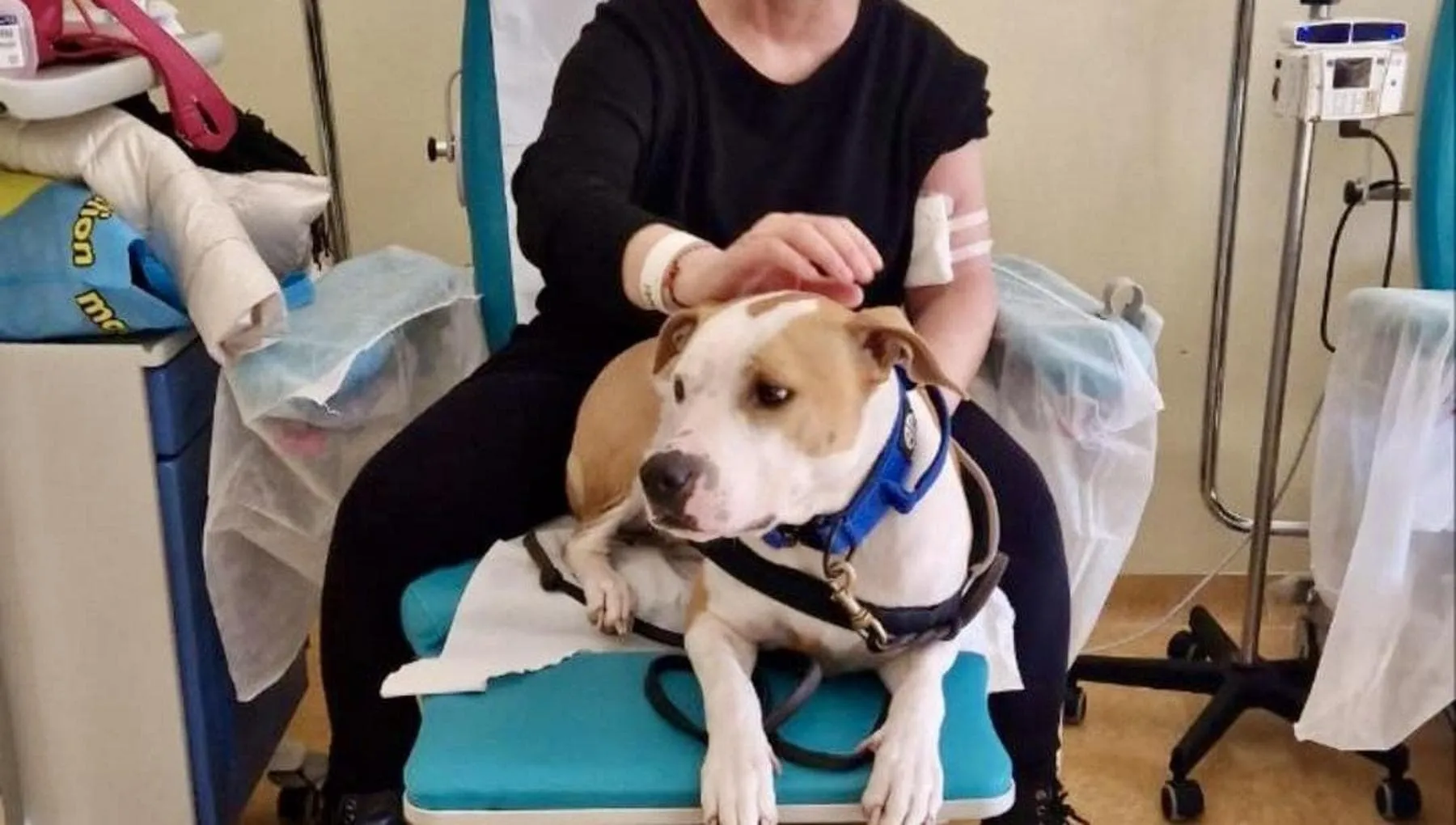 La chemioterapia con la pitbull Aria: e l’ansia e la paura scivolano via