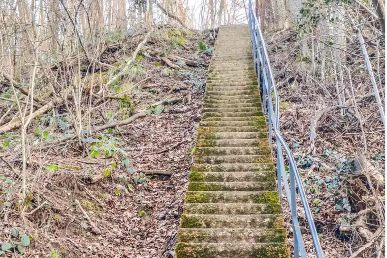 Il sentiero in Lombardia dove puoi attraversare un ponte tibetano, salire una scala con 900 gradini e camminare tra le trincee della Grande Guerra: in pochi lo conoscono