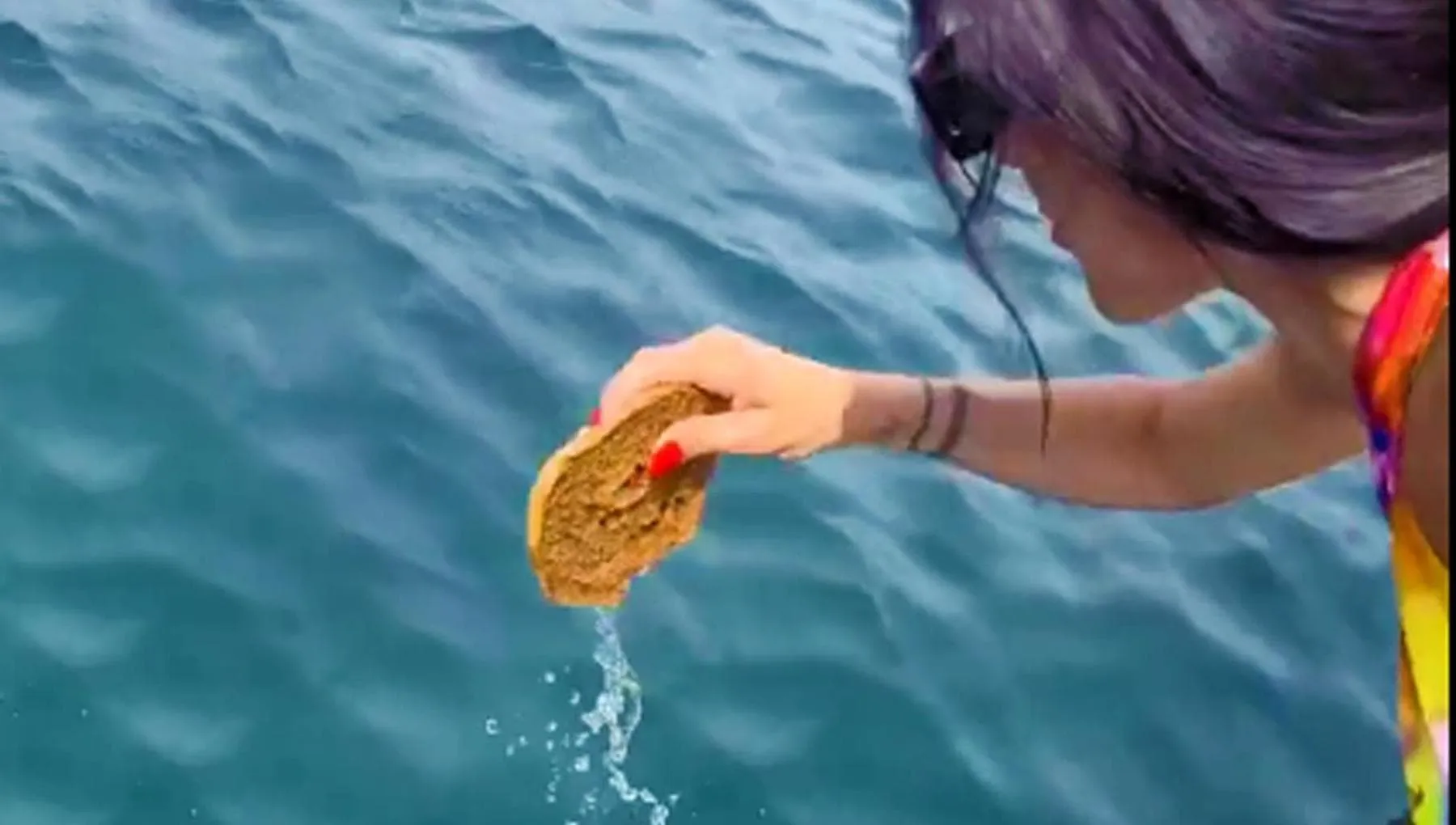 Friselle con l’acqua di mare? Sì, ma solo se viene dal supermercato