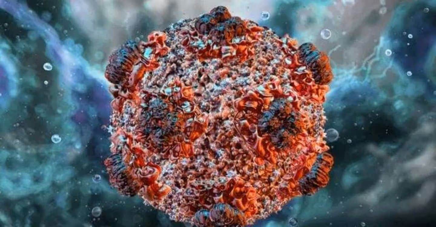 Hantavirus: sintomi, contagio, cure e come proteggersi