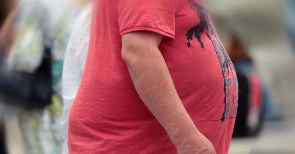 Obesità e sovrappeso, ecco la proteina Mitch: spegnendola si “bruciano” prima i grassi