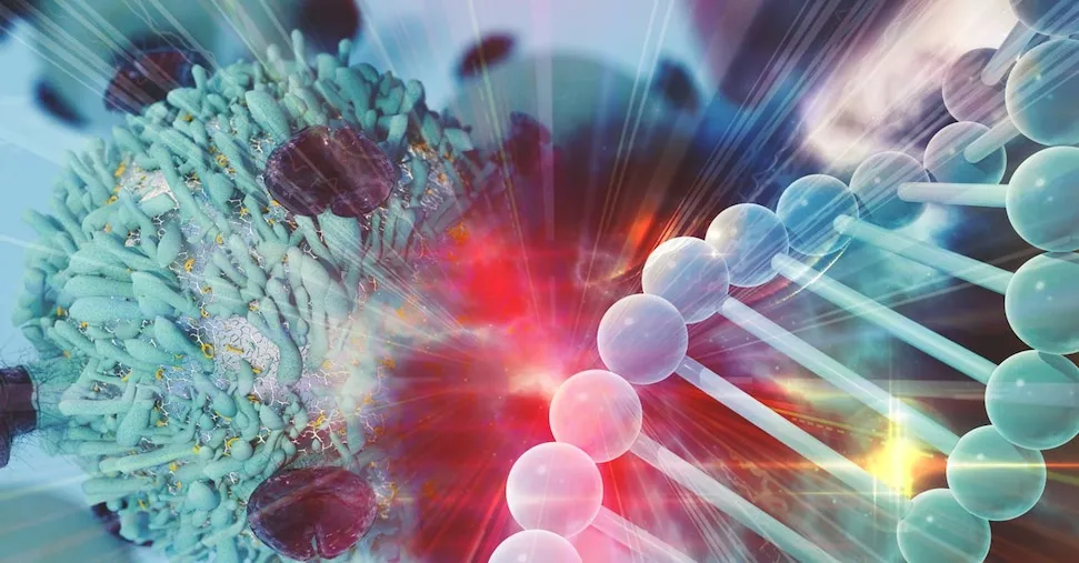 Leucemia pediatrica ad alto rischio, così l'immunoterapia dimezza le ricadute