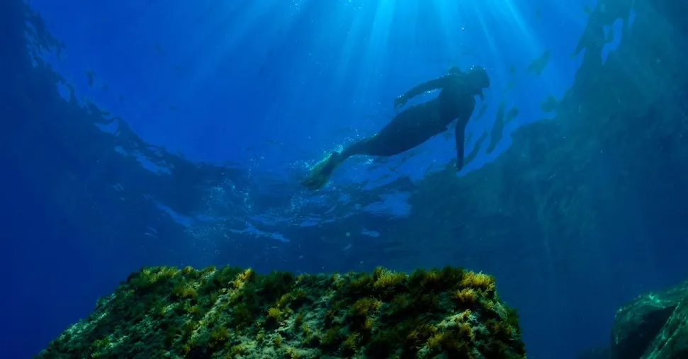 Oceani, corsa contro il tempo per salvare le risorse marine