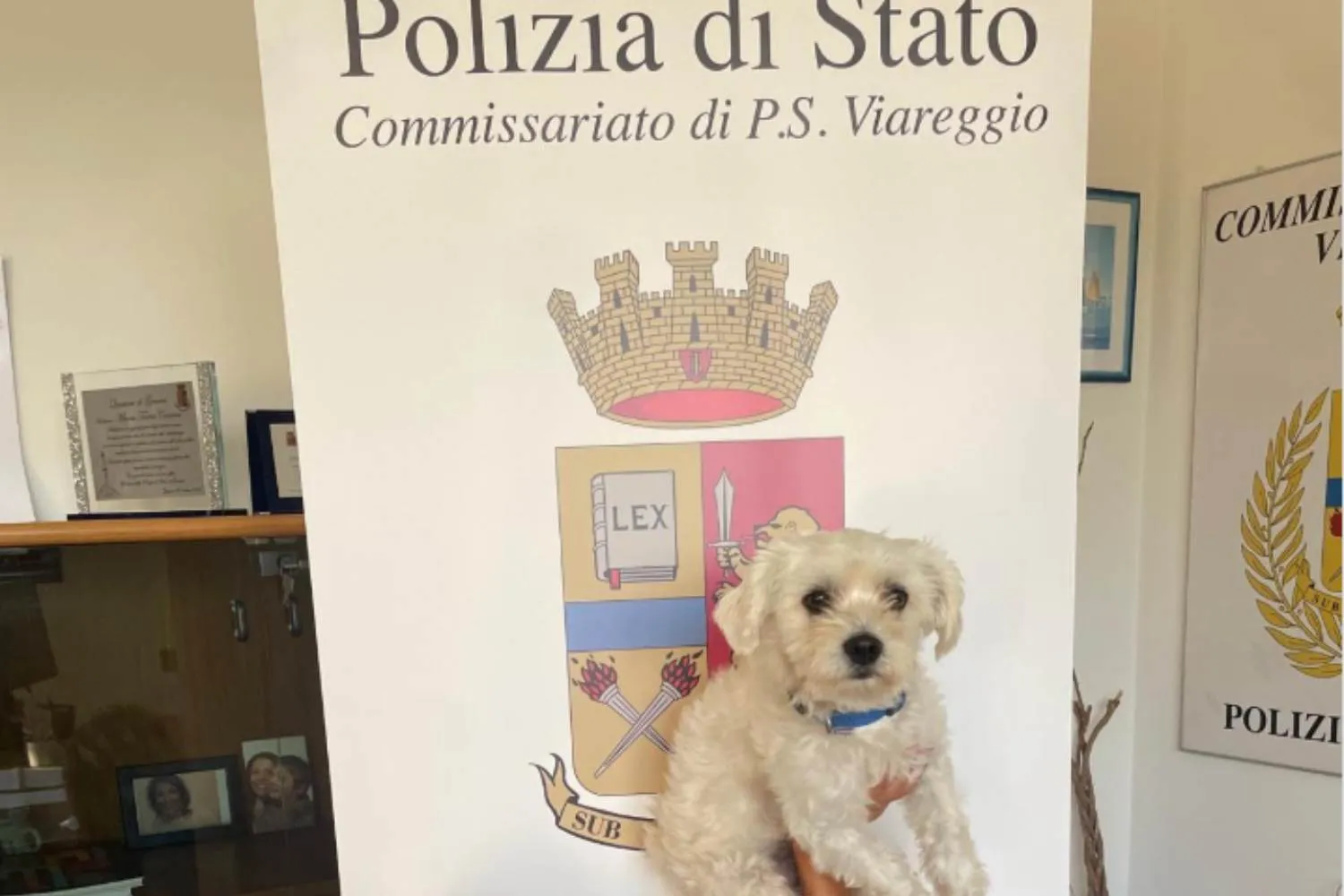 Abbandonato e denutrito, questo cagnolino è stato adottato dai poliziotti di Viareggio (e il suo nome ti farà sorridere)