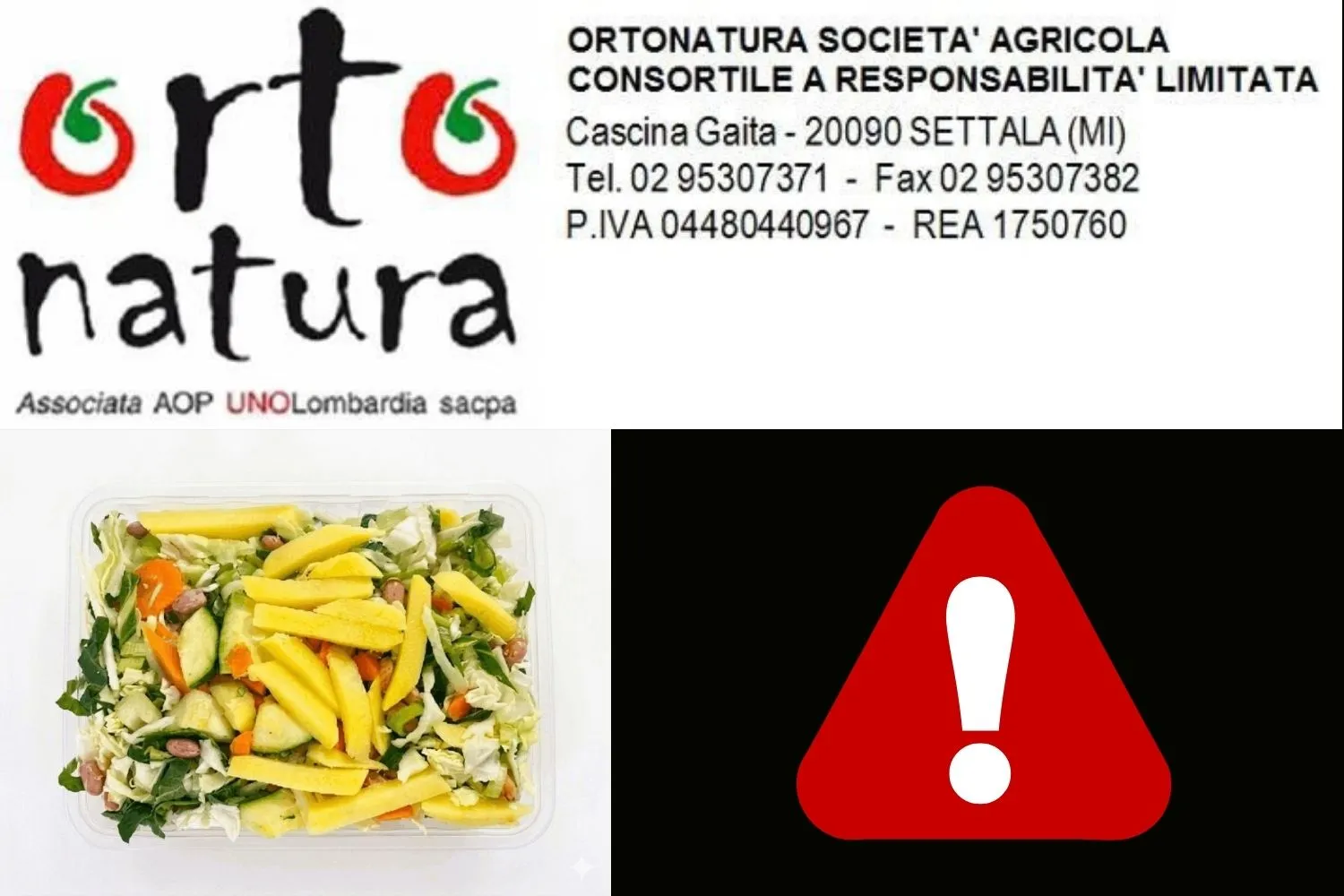 Richiamo alimentare, Ortonatura ritira la Zuppa Toscana: dentro c'è il minestrone con del sedano non dichiarato in etichetta