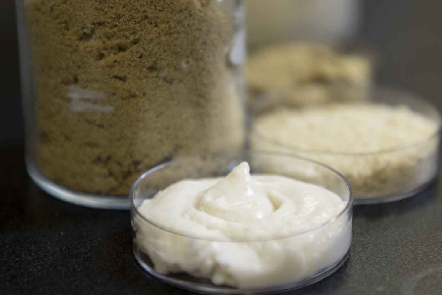 Formaggio di riso: scienziati sono riusciti a creare un alternativa vegana con oltre il 12% di proteine