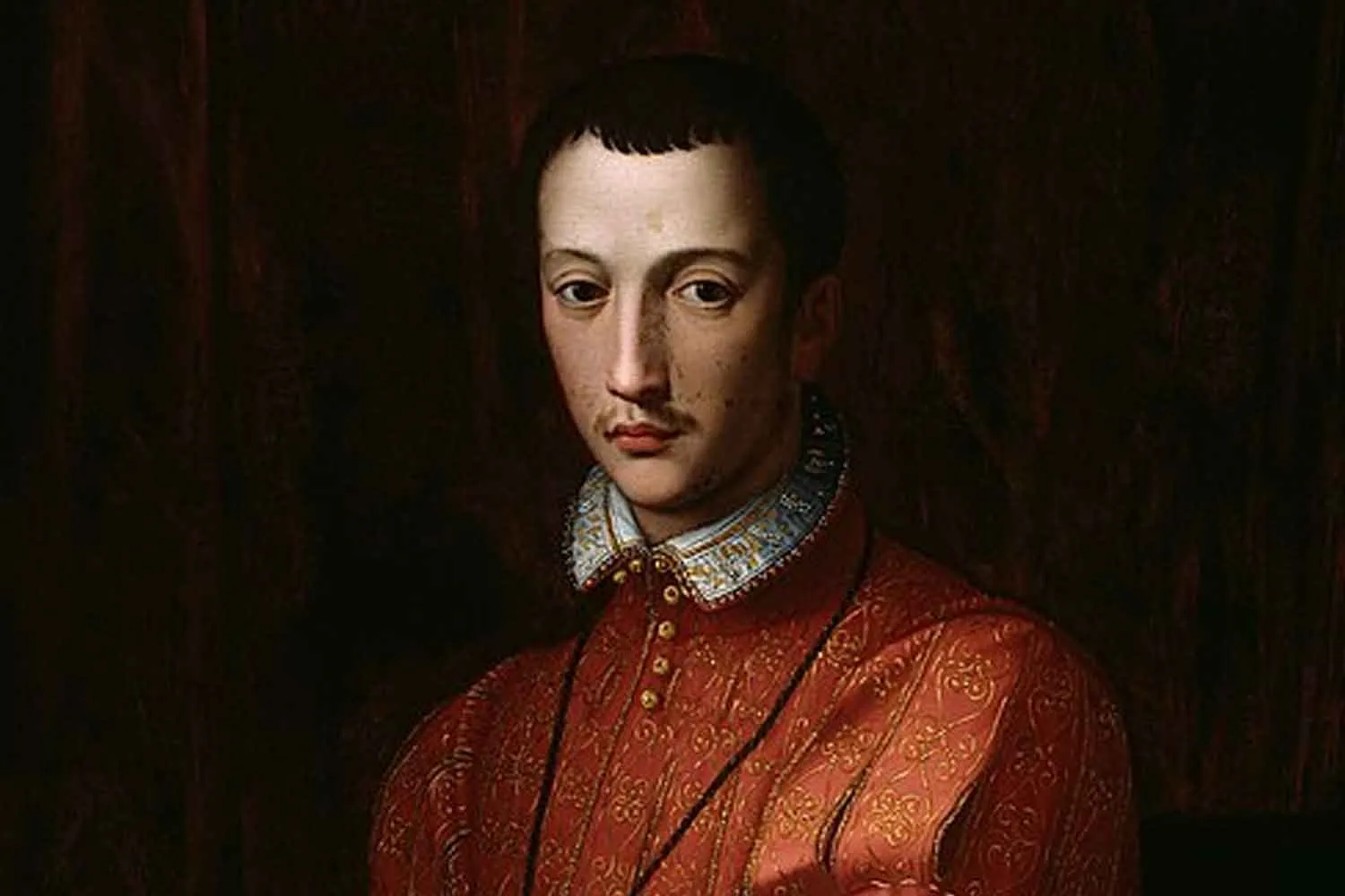 Dopo 439 anni, il DNA nelle costole di Francesco de' Medici riapre il giallo sulla sua morte
