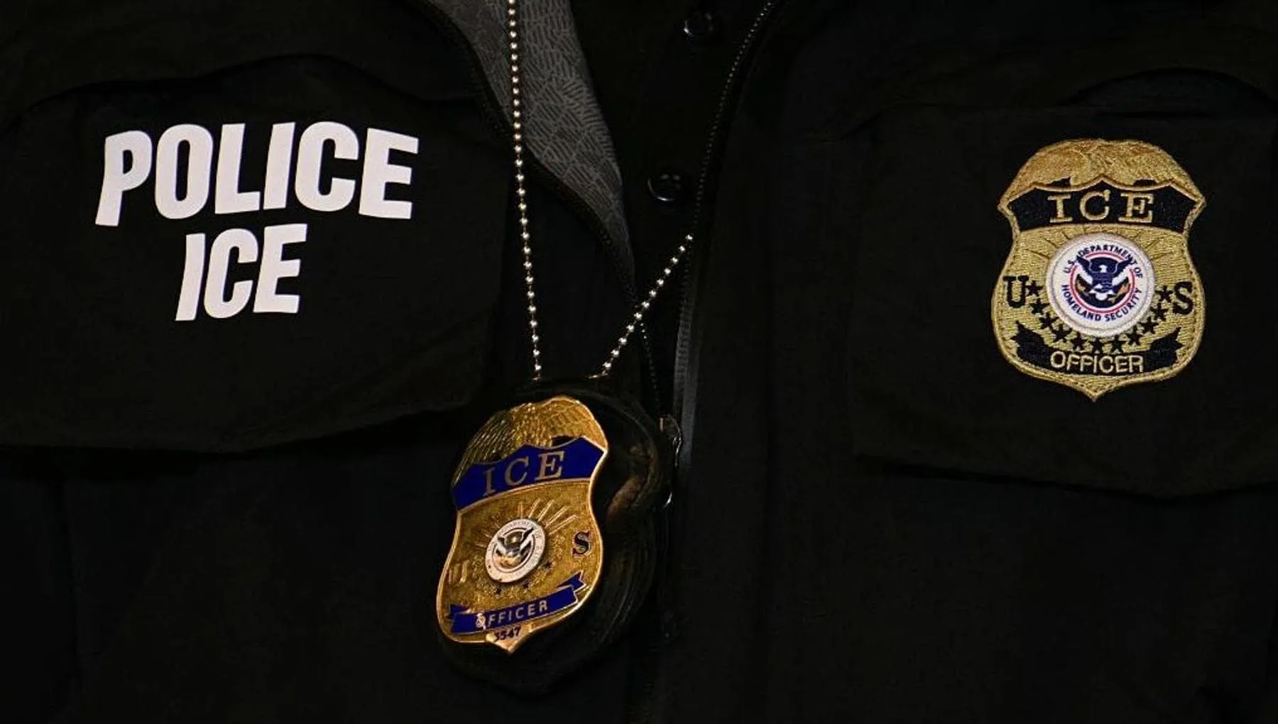 L’Ice vuole usare guanti elettrici: come funzionano e cosa cambia rispetto ai taser